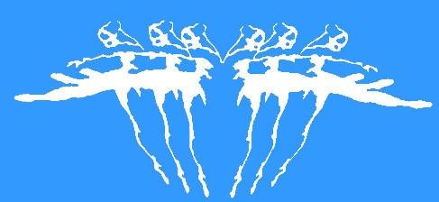 Corpus Christi Ballet presents Swan Lake - KRIS Corpus Christi News