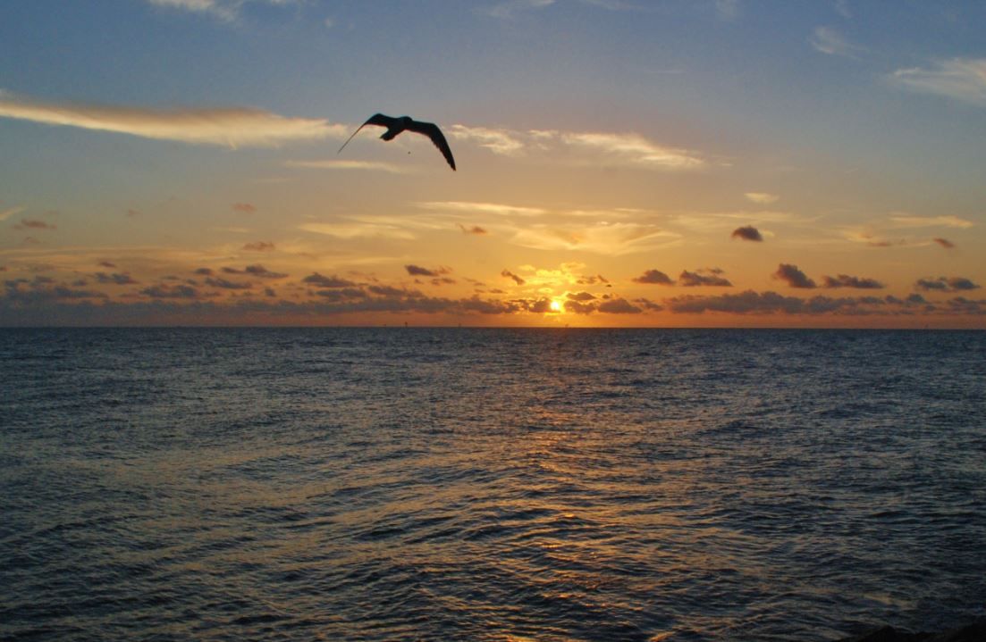 Sunny and more Humid