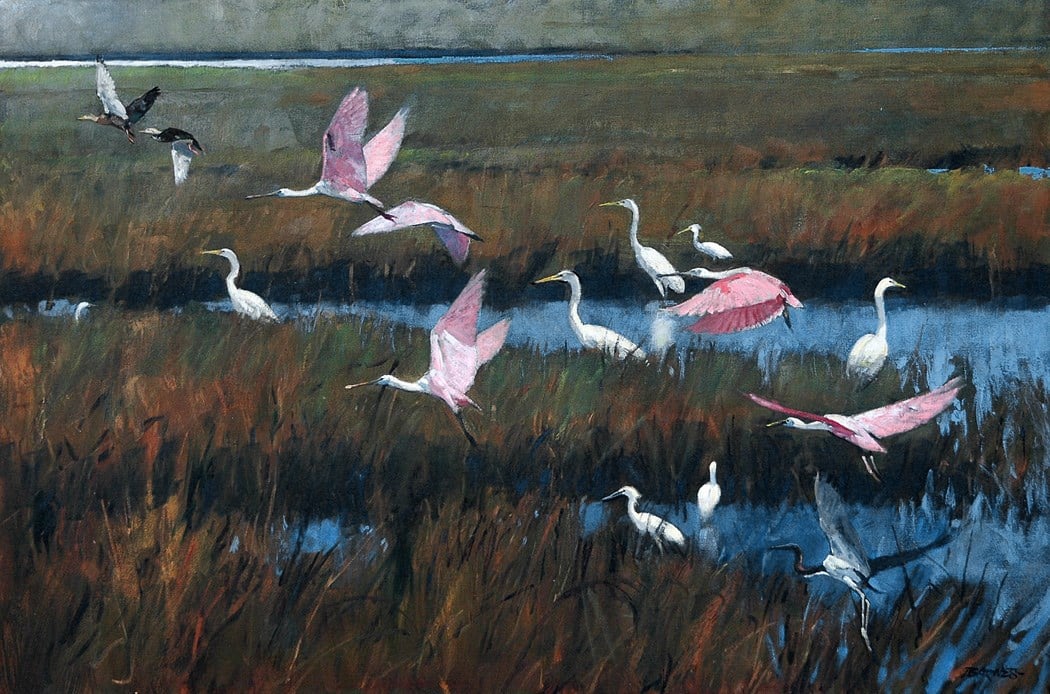 Αποτέλεσμα εικόνας για waterbirds painting