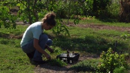 GROW Local South Texas seeks more locally grown produce for the Downtown Farmers' Market.